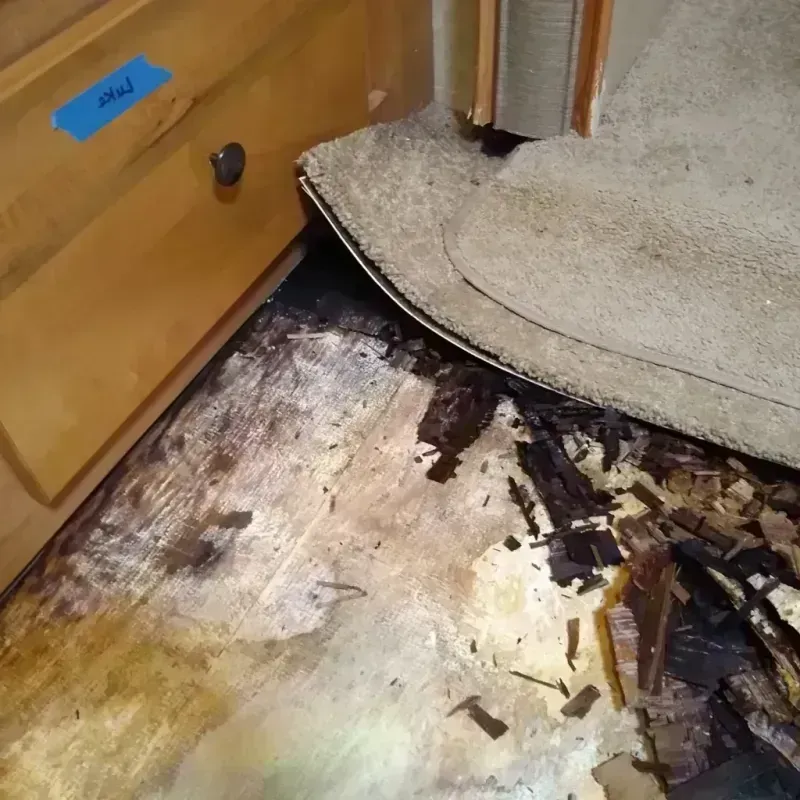 Wood Floor Water Damage in Woodstown, NJ